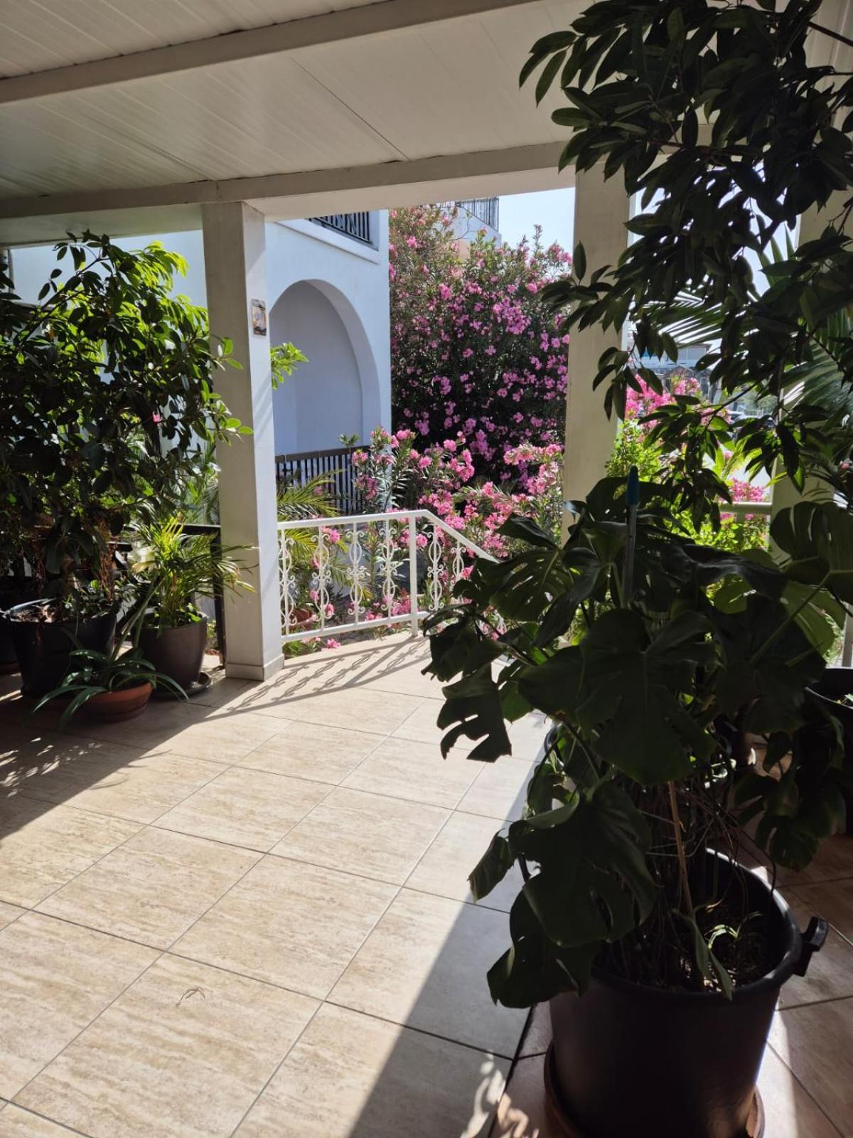 Myriama Apartments Ayia Napa Exterior photo